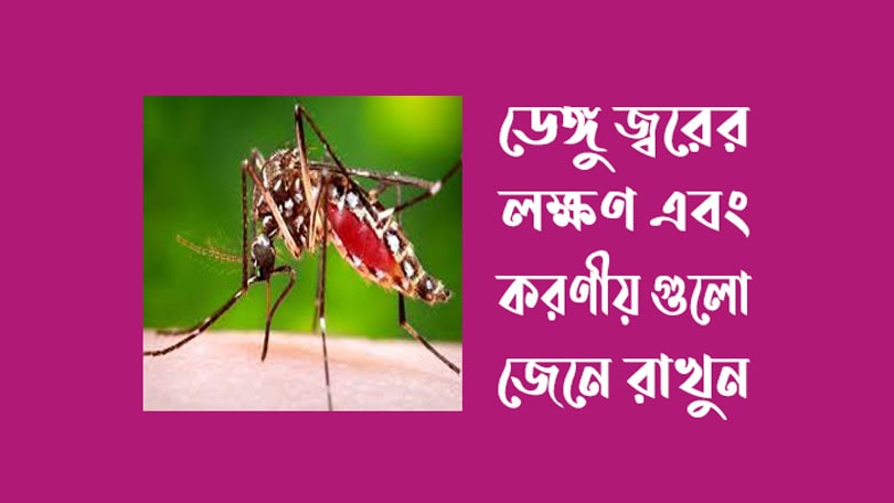 ডেঙ্গু জ্বর কি? ডেঙ্গুর লক্ষণ এবং ডেঙ্গু হলে করণীয়