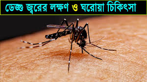 ডেঙ্গু রোগের ঘরোয়া চিকিৎসা সম্পর্কে জেনে নিন