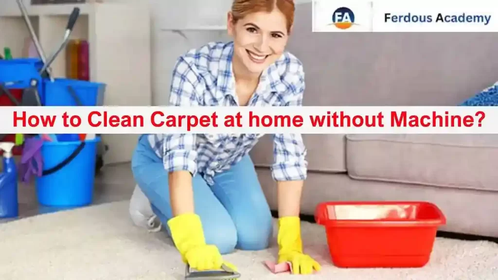 How to Clean the Carpet at home without Machine?