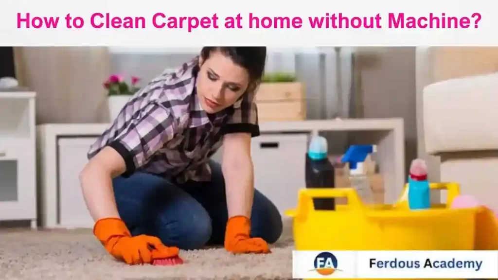 How to Clean Carpet at home without Machine?